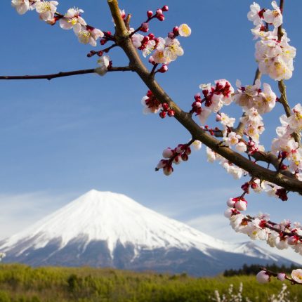 Japan